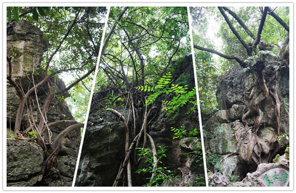 多彩貴州,魅力天下,2021年廣東博皓快樂(lè)貴州行-3