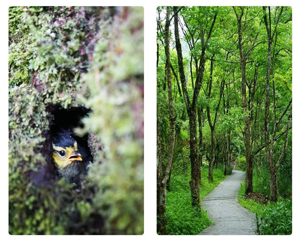 多彩貴州,魅力天下,2021年廣東博皓快樂(lè)貴州行-24