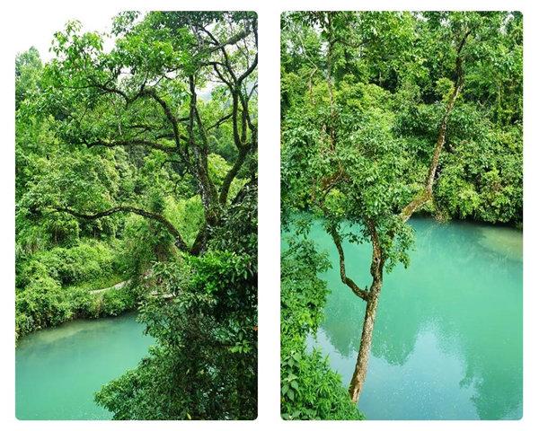 多彩貴州,魅力天下,2021年廣東博皓快樂(lè)貴州行-29