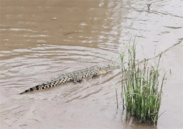 廿載風云一路行，馬來風情共見證&mdash;&mdash;2024廣東博皓馬來西亞之旅   -15