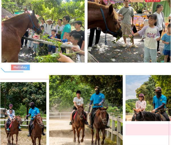 廿載博皓盛夏日，親子相伴歡樂行&mdash;2024年廣東博皓親子游    -7