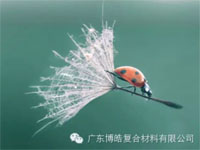 【博皓感悟】成功，要“借力”，不要“盡力”